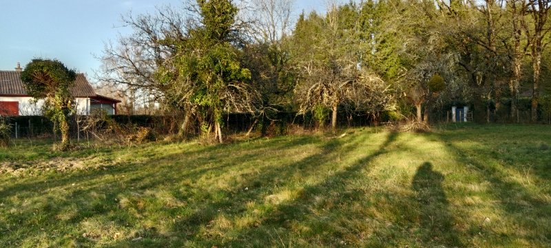 IMG_20250305_180556.jpg