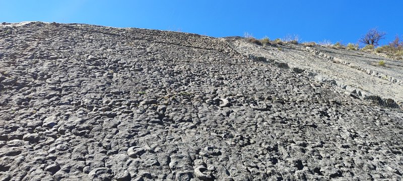 IMG_20250331_135358.jpg