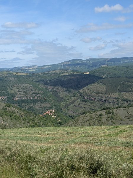 PXL_20250527_091031926.jpg