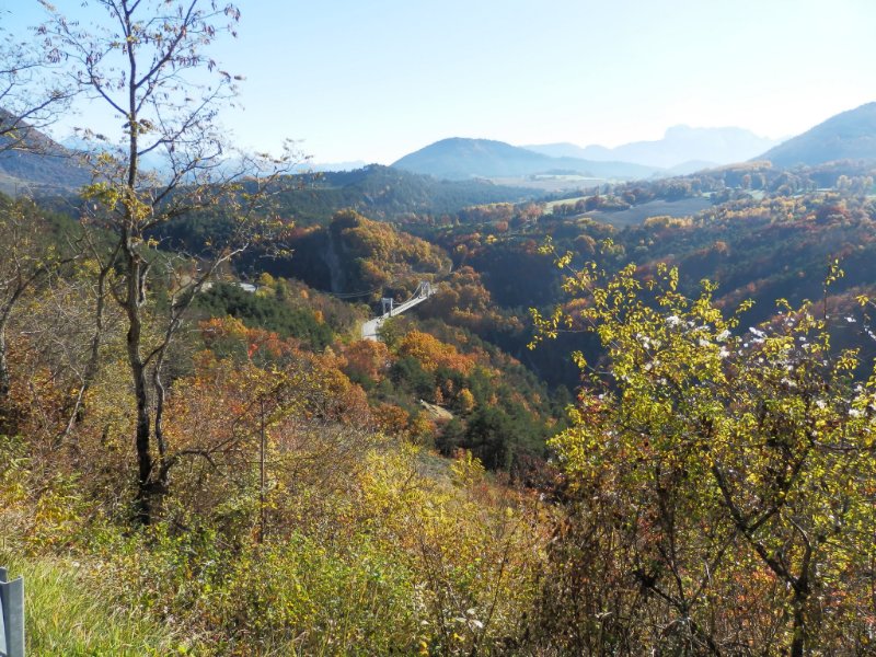PA310064-r.jpg