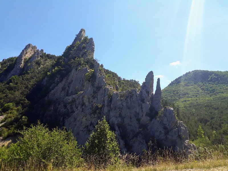 20250807_130202.jpg
