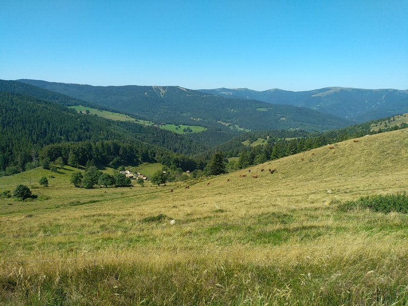 VO25 19.jpg