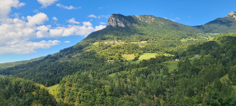 20250915_133238.jpg