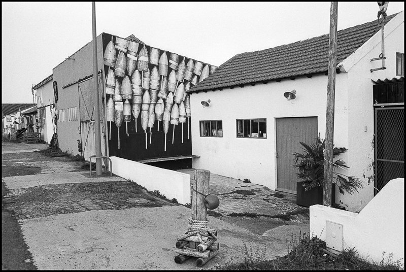 2025.66.FE2.FP4.14.TFN.jpg