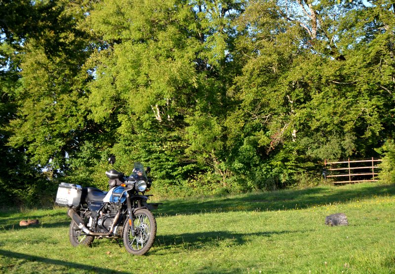 BEBS 145r.JPG