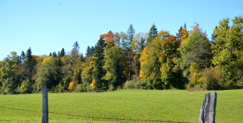 VPH 15r.JPG