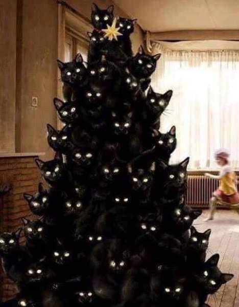 Xmas (5).jpg
