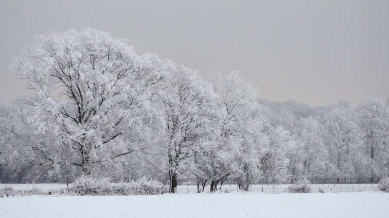 Neige arg janv 2026-1.jpg
