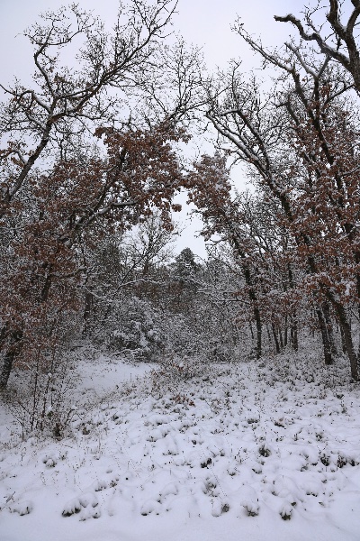 Neige Buno 2026.JPG