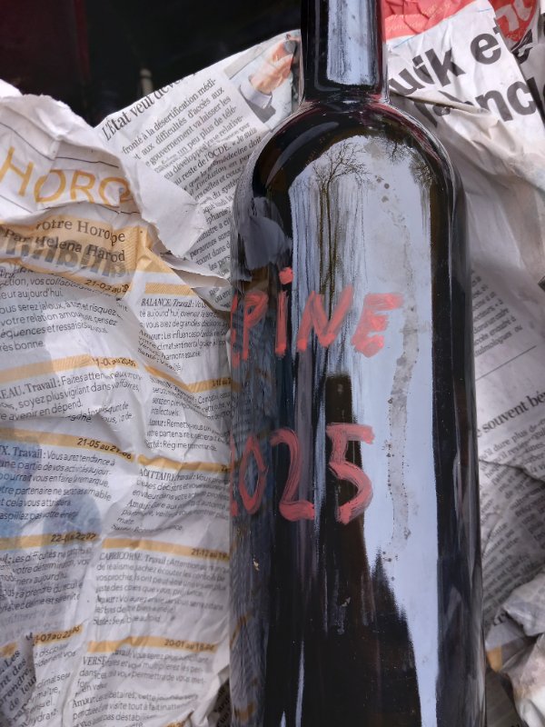 20260201_093907.jpg