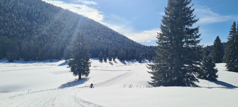 20260201_113415.jpg