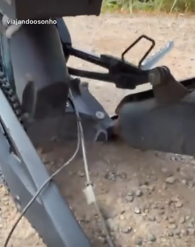 aaaaaa.jpg