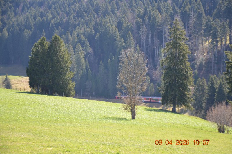 MVJ3 - 55.JPG