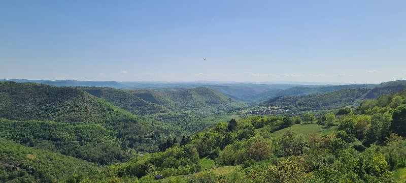 20260425_155501.jpg