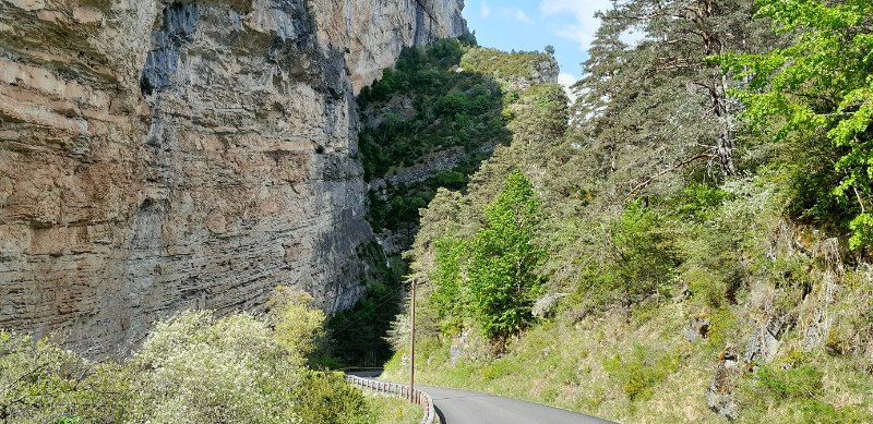 20260429_161031-r.jpg