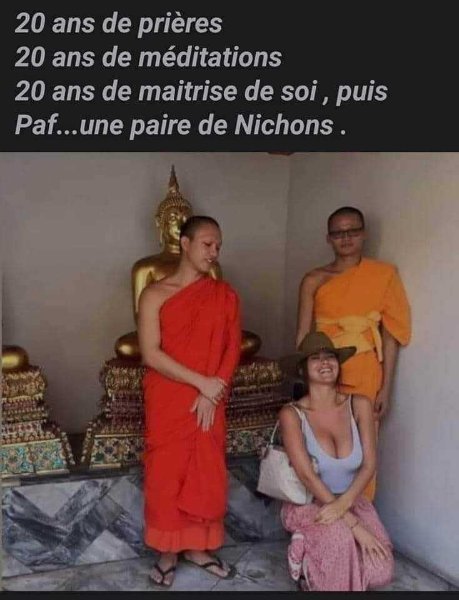 Lamas.jpg
