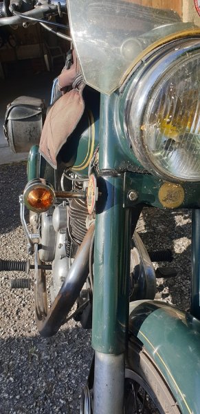 Cligno avant-1.jpg